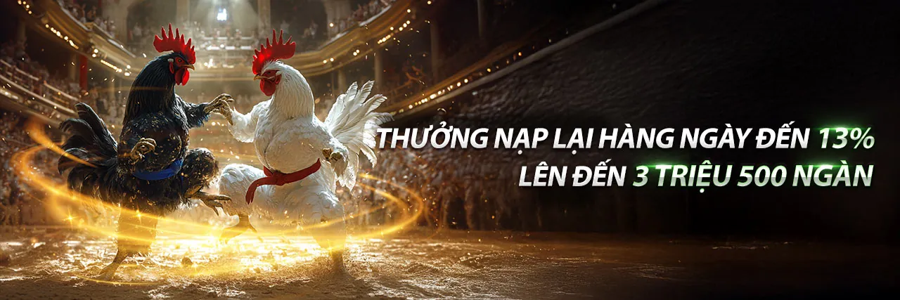 Sân vận động với khán giả hò reo, thể hiện không khí cá cược thể thao sôi động tại mcw888 khuyến mãi