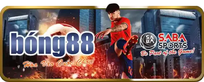 Giải thích các loại kèo cá cược thể thao tại mcw888